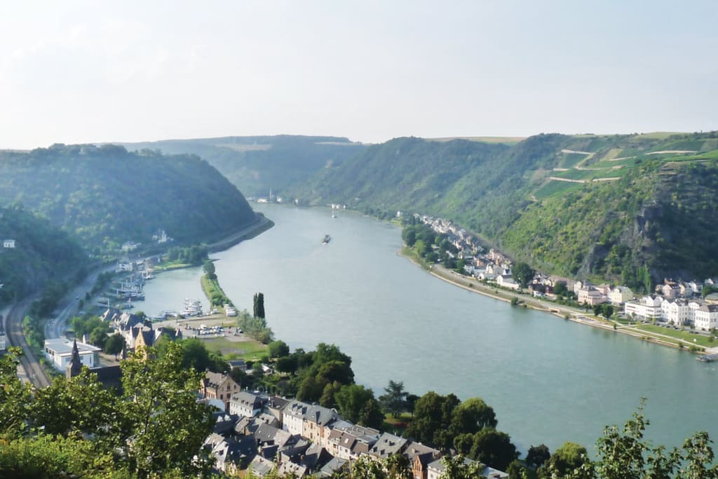 Blick auf das Rheintal