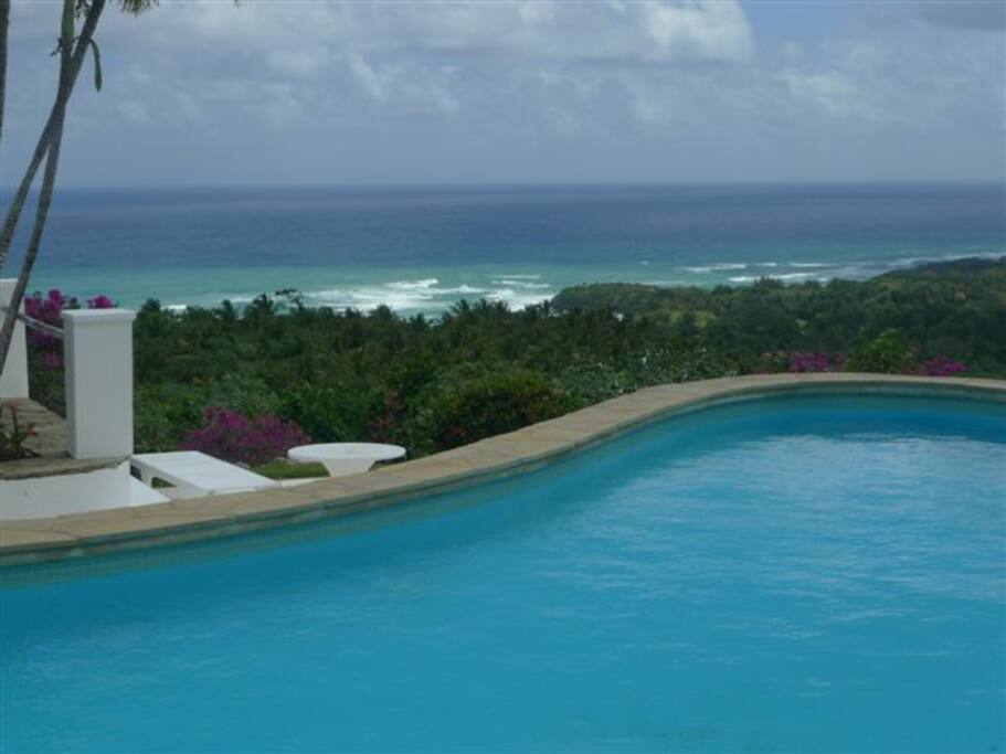 Poolside View