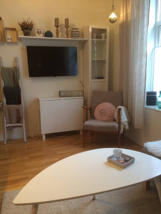 Det er tv med mange kanaler i leiligheten