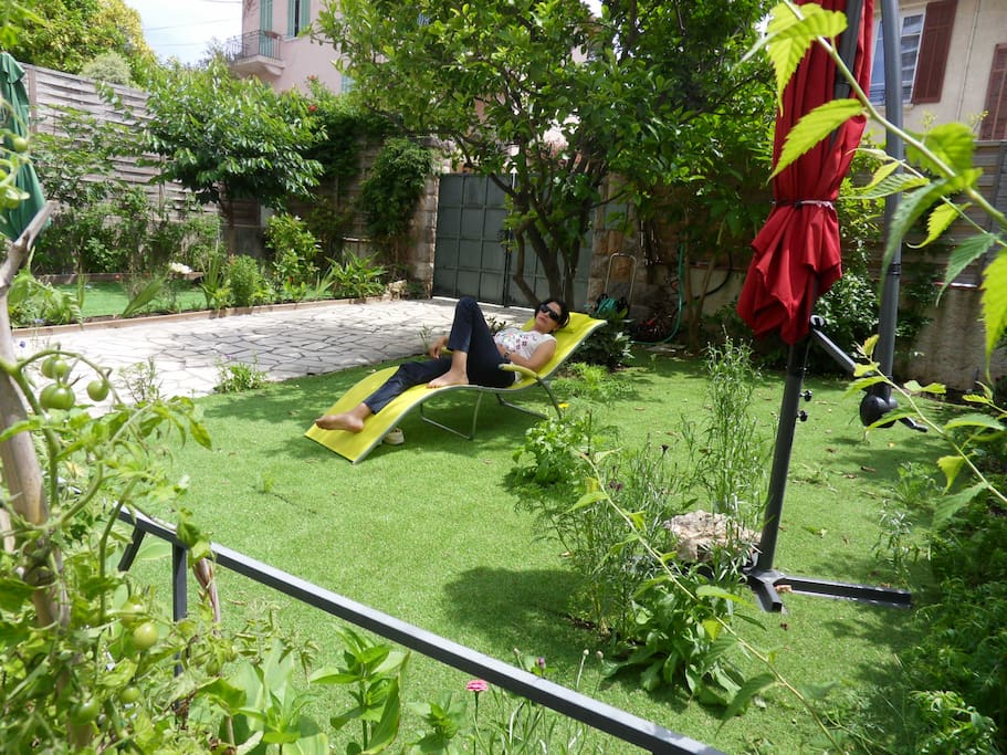 the garden