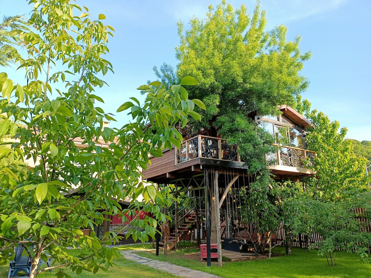 A modern tree house is elevated among lush green trees, featuring a spacious balcony with railings. A wooden staircase leads to the entrance, surrounded by flourishing foliage and open green spaces, creating a serene outdoor atmosphere.