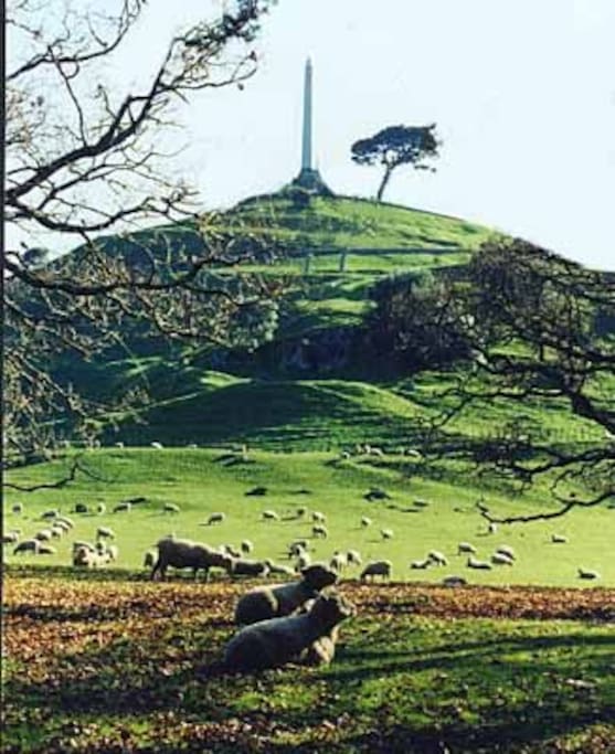 Nearby Cornwall park perfect for walks and has a nice cafe