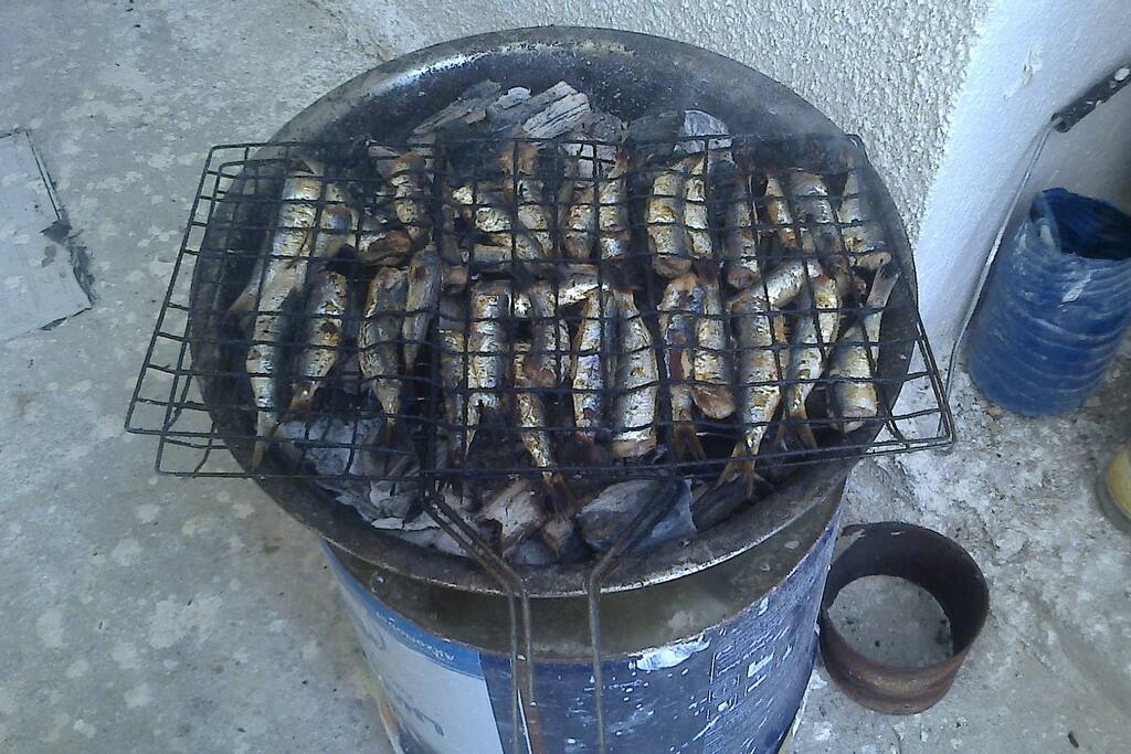 kelibia est célèbre pour sa sardine