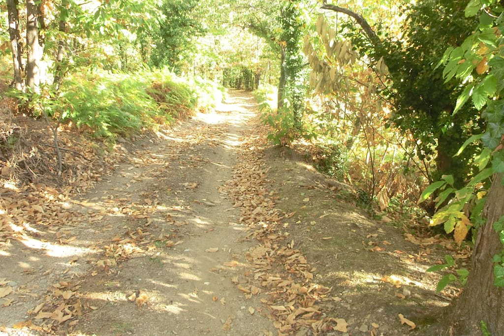chemin d accès