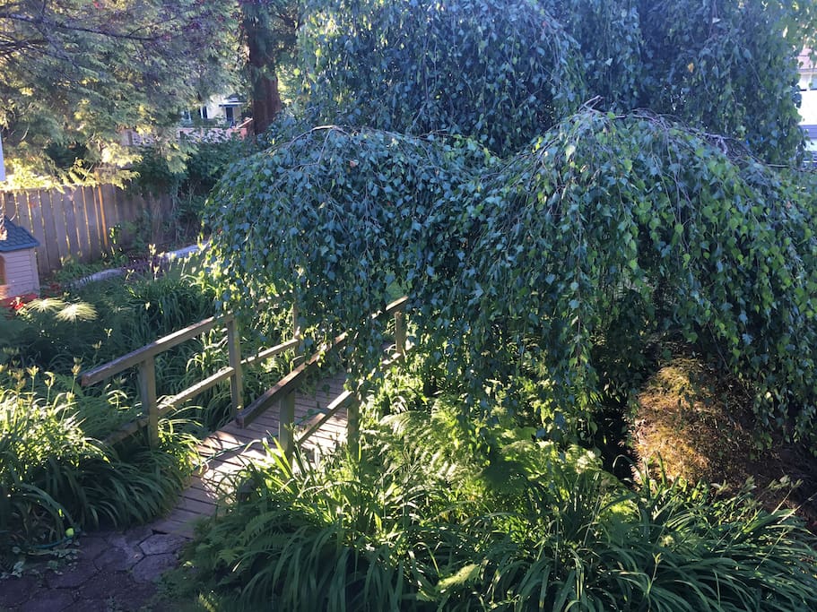 Backyard oasis :)