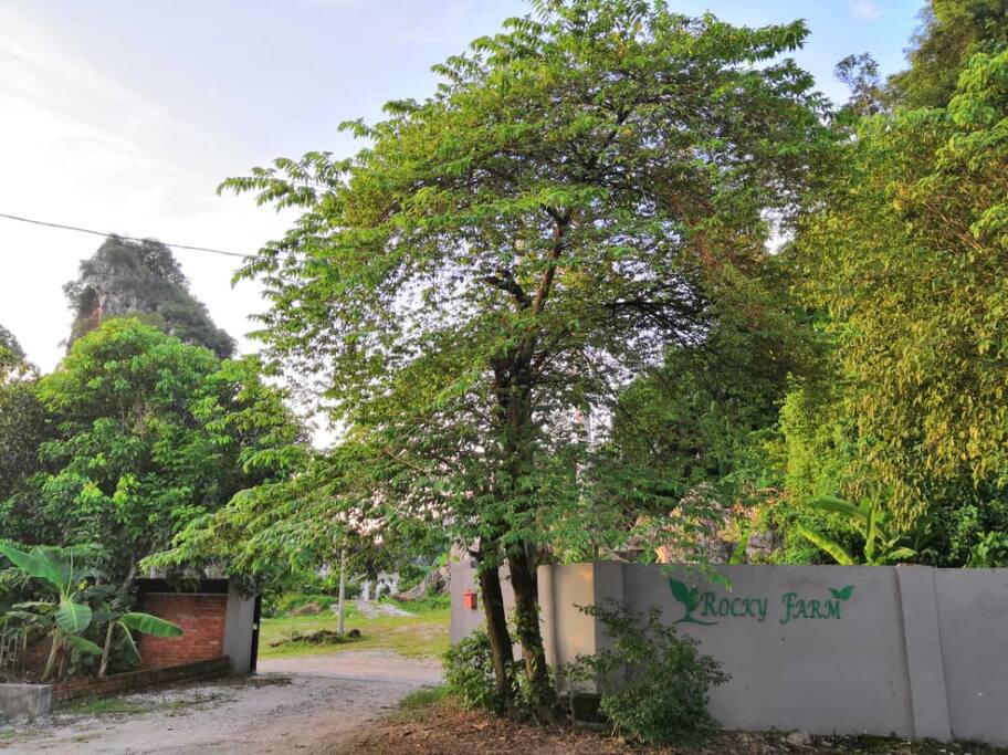 Entrance