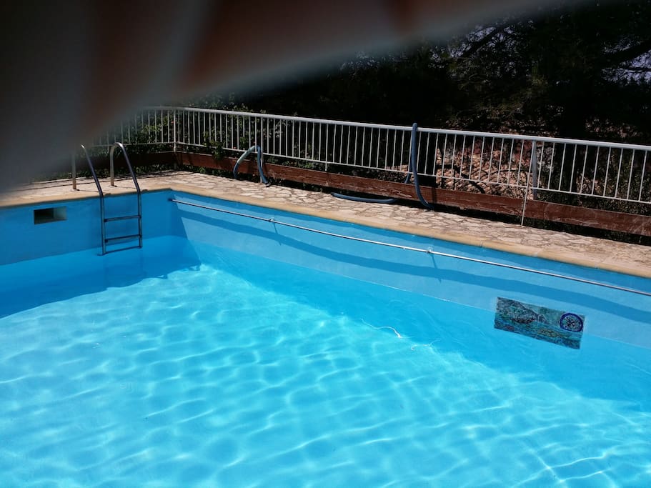 Everyone loves the pool!