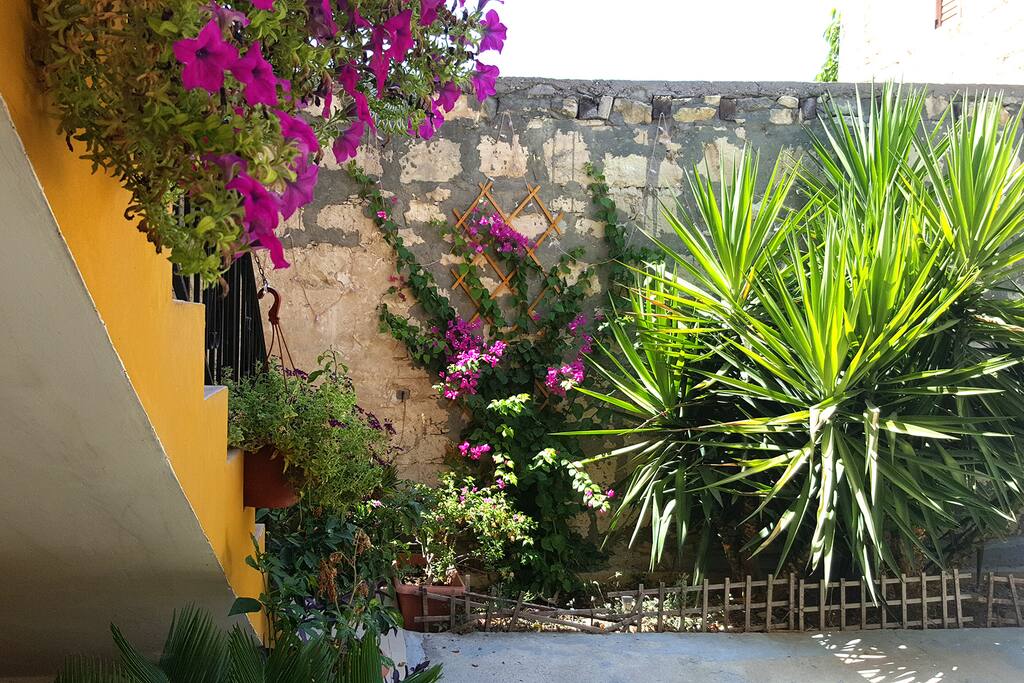 Courtyard Garden