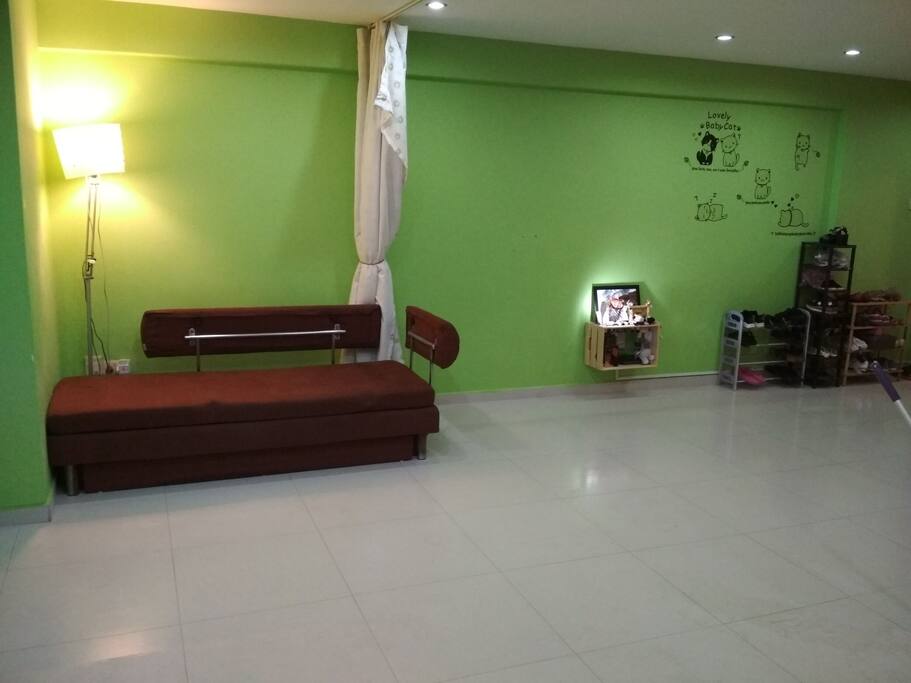 Queen-size Convertible Sofa Bed when extended