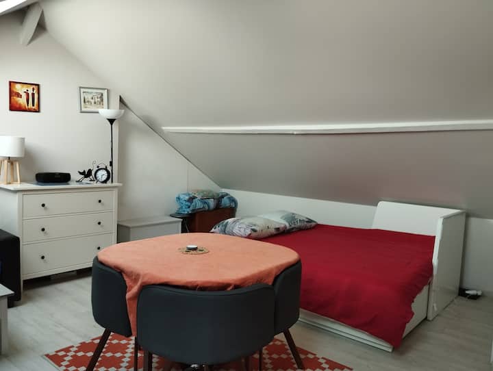 Appartement Duplex Avec Jardin, Proche Loire. - Orléans