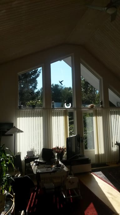 Vardagsrum. Livingroom