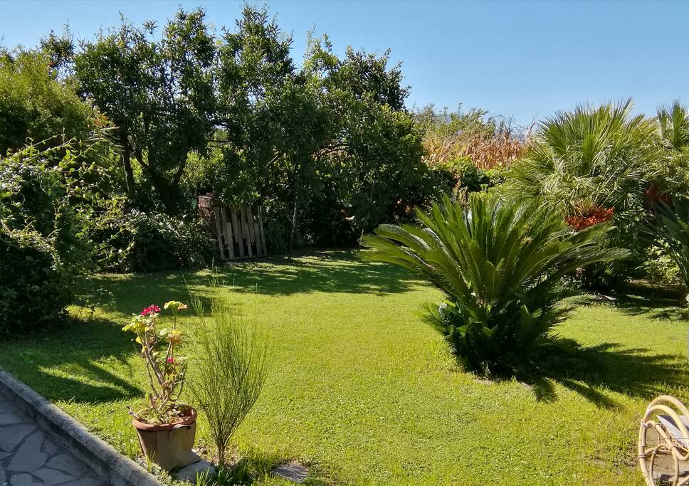 giardino