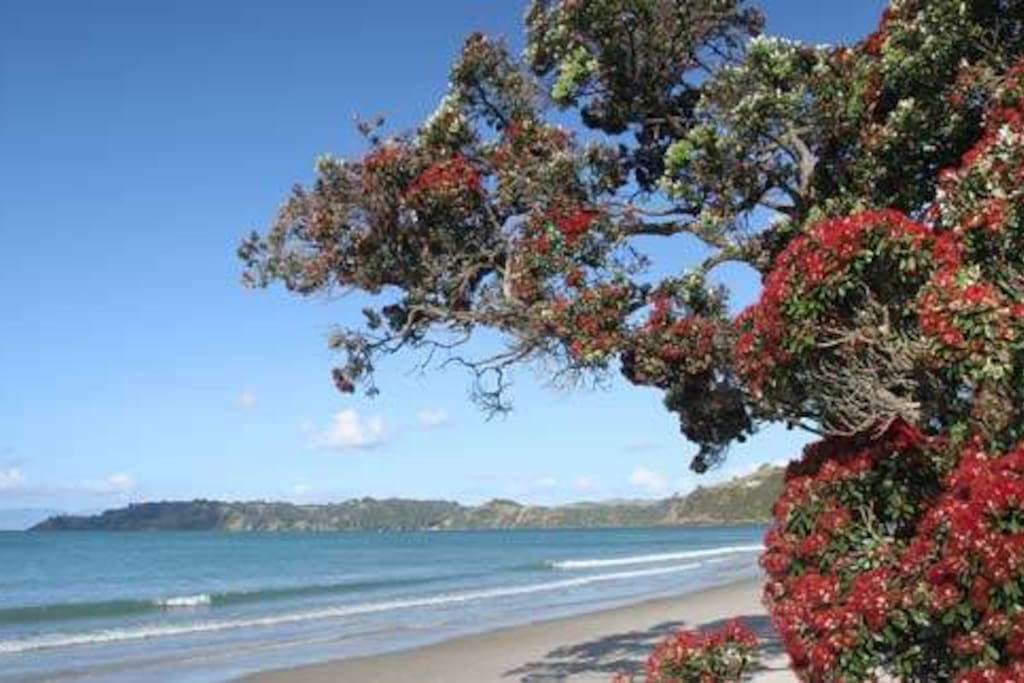 onetangi beach