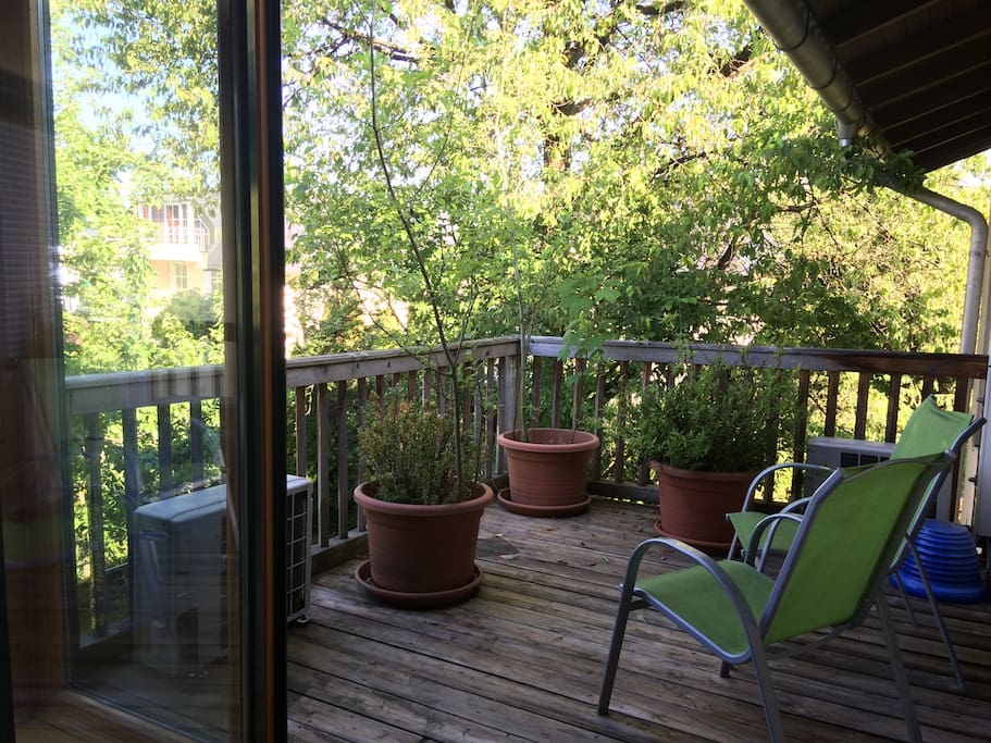 Terrace belongs to the room