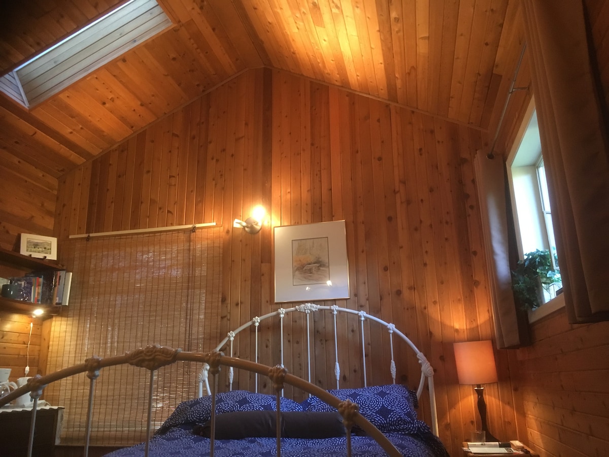 Dari lililopambwa na mwanga wa anga.