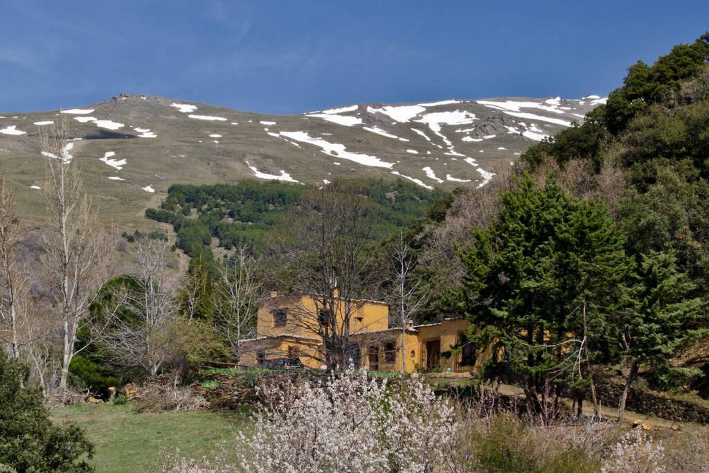 Rodeada de un bosque de robles centenarios y encinas