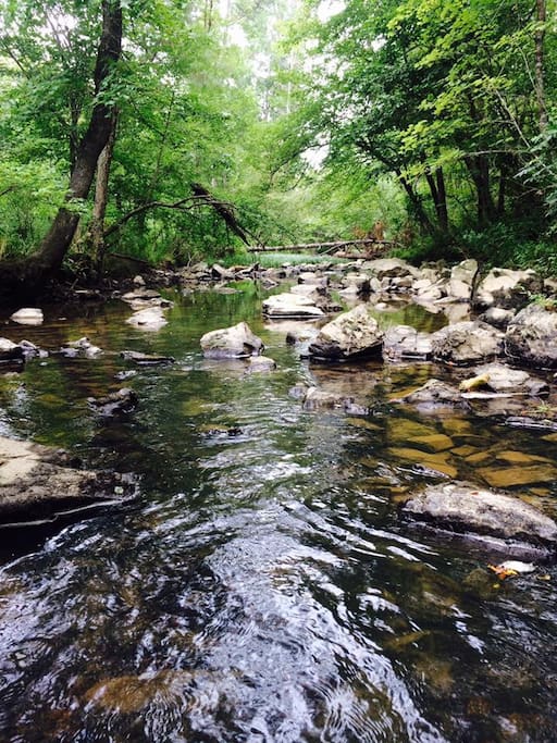 The creek on our property