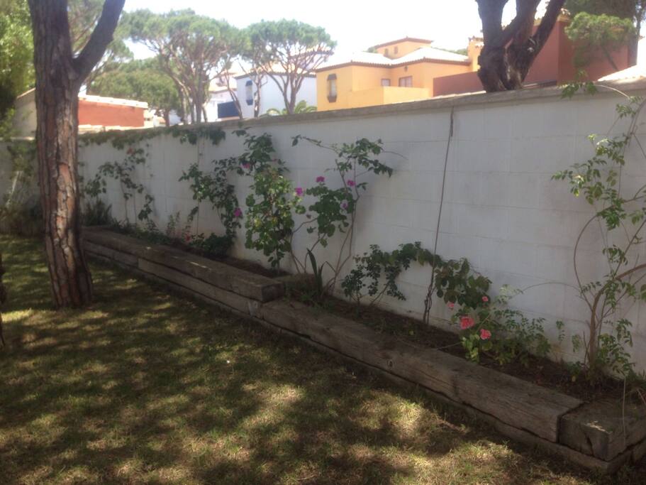 jardin