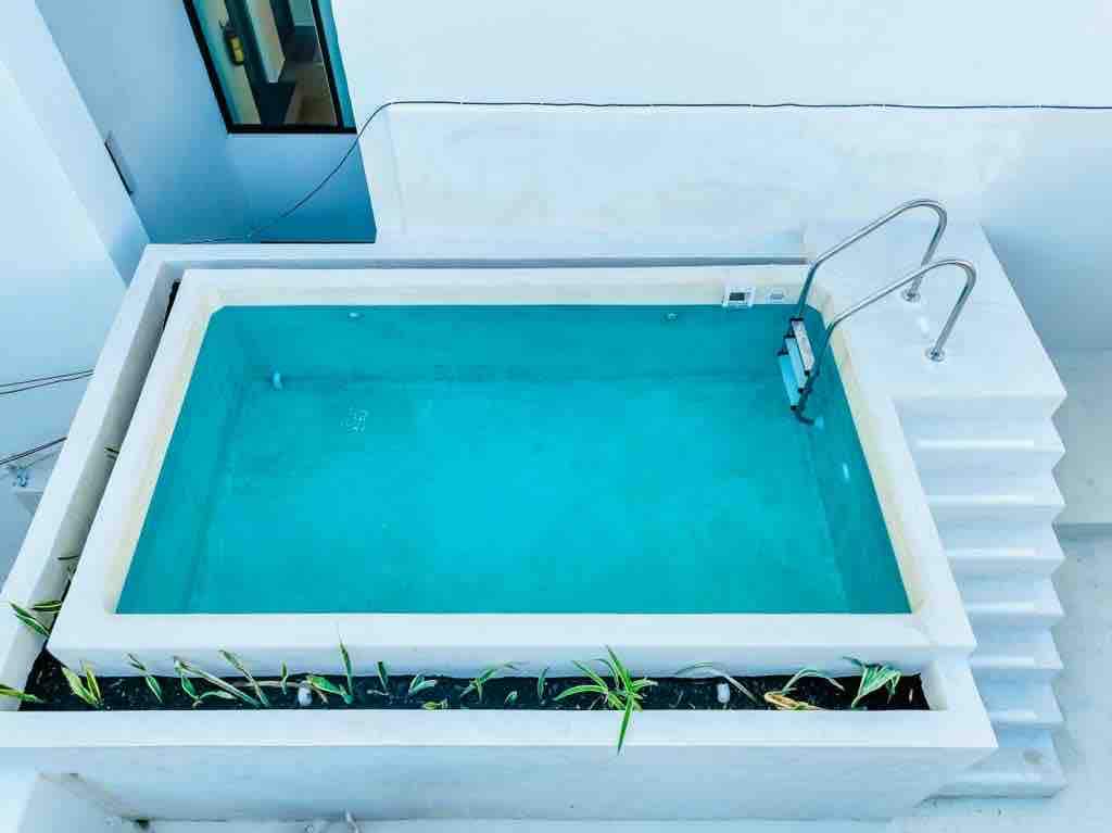 A rectangular plunge pool is set within a minimalistic white structure, surrounded by green plant life emerging from the edges. The clear blue water reflects light, offering a refreshing focal point in a tranquil environment.