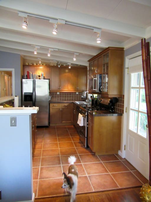 Kitchen -- and Zippy.
