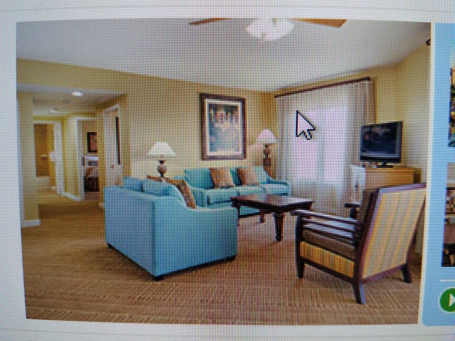 Living room with cable TV and sofa sleeper in the couch.