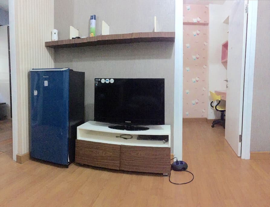 TV and refrigerator
