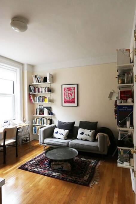 Living room with lots of light, lots of books, and a comfortable sofa