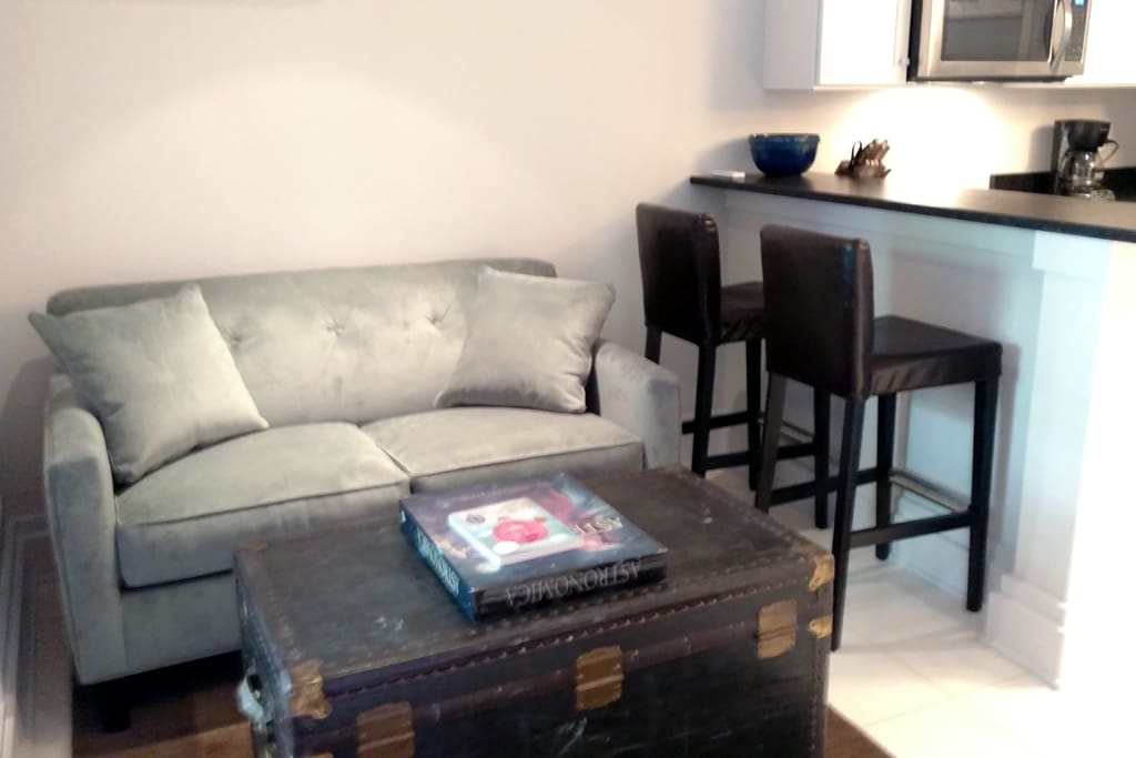 Comfortable couch with room for two to watch tv or simply relax.