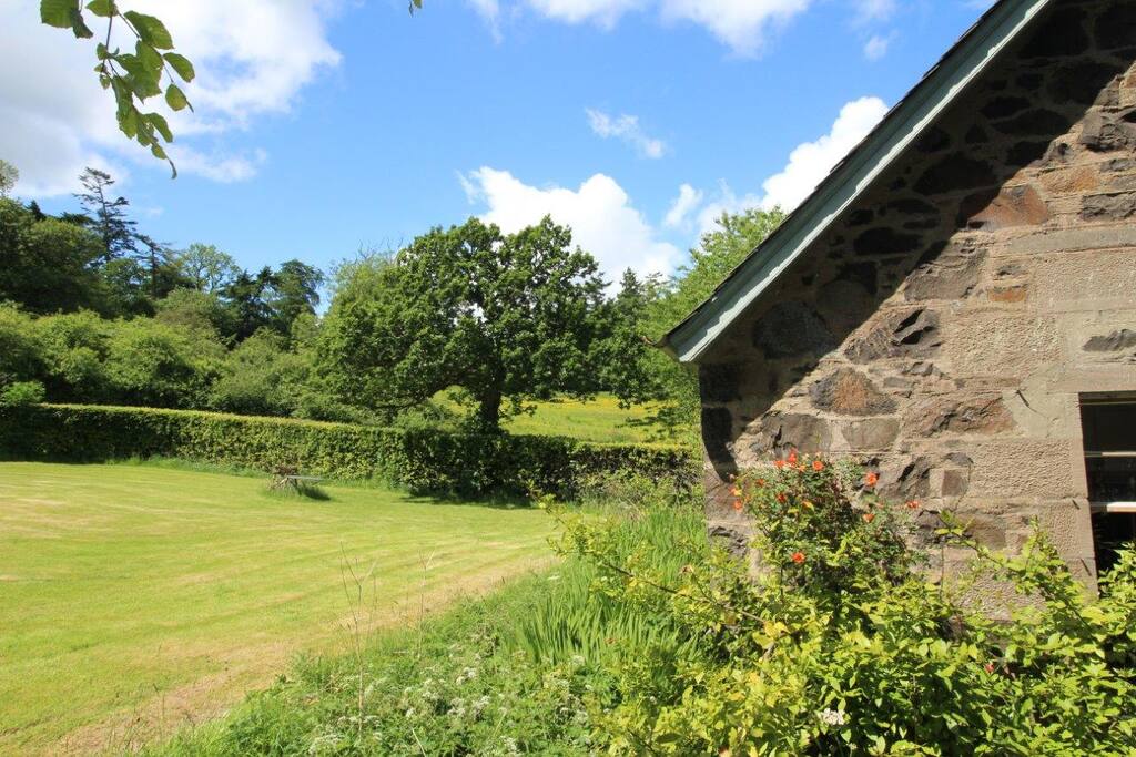 Side view of the garden