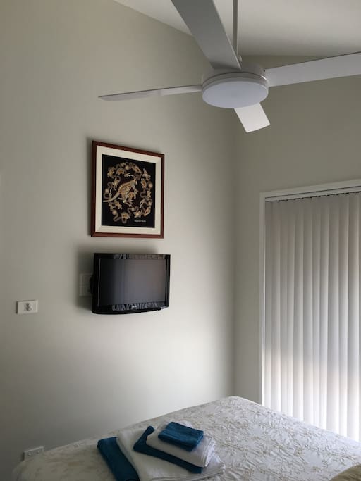 Fan and TV in Bedroom