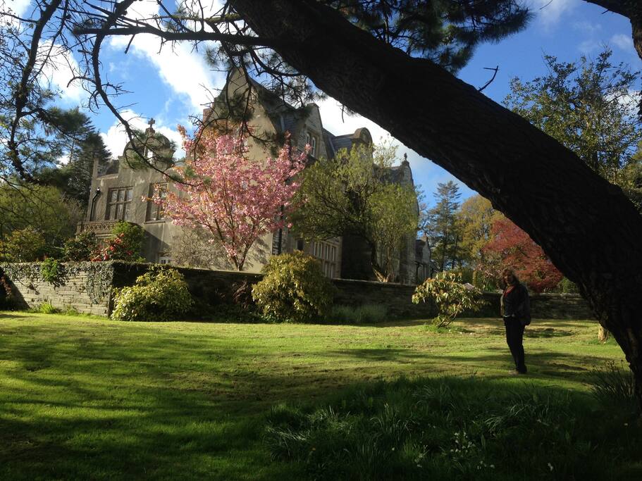 View from the arboretum