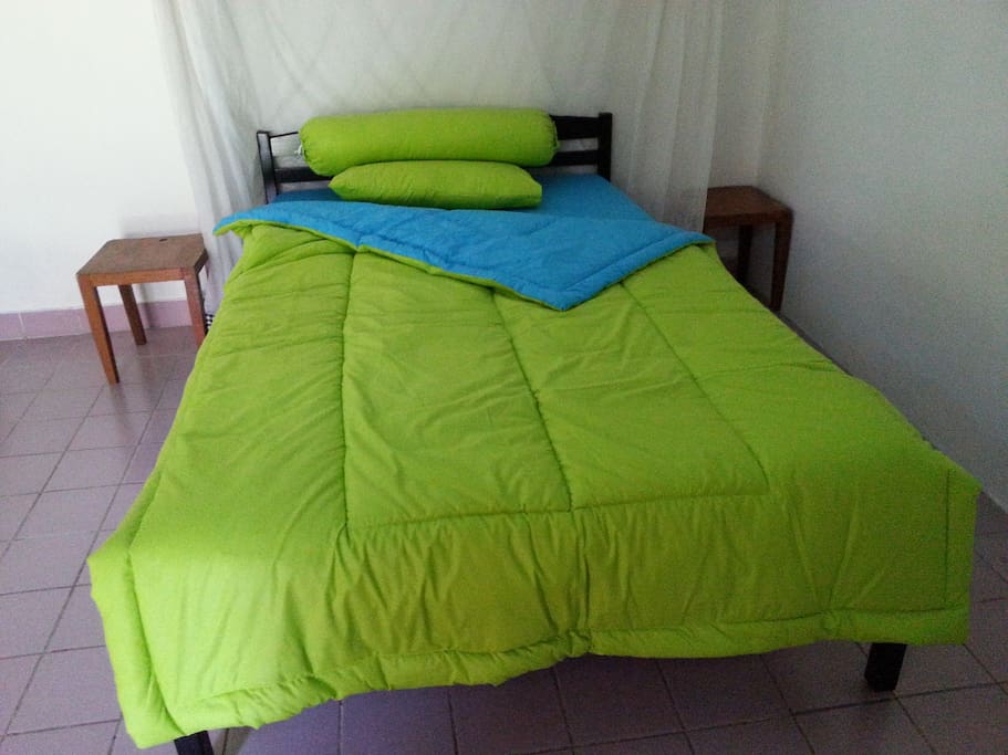 single bedroom with mosquito net