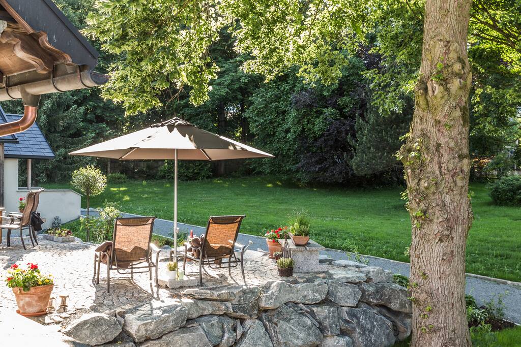 Blick in den grünen Sommergarten