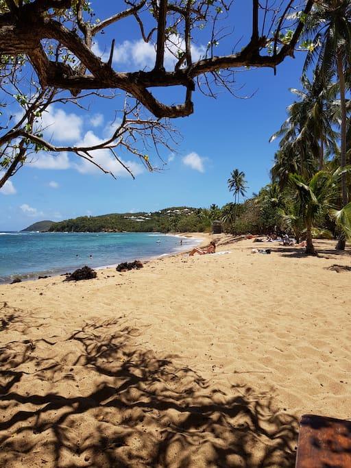 Une petite balade sur la plage ou farniente ?