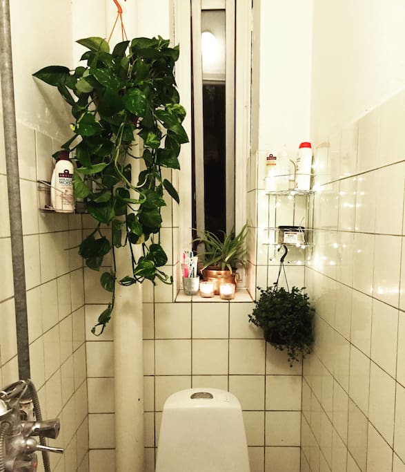 Small copenhagen bathroom