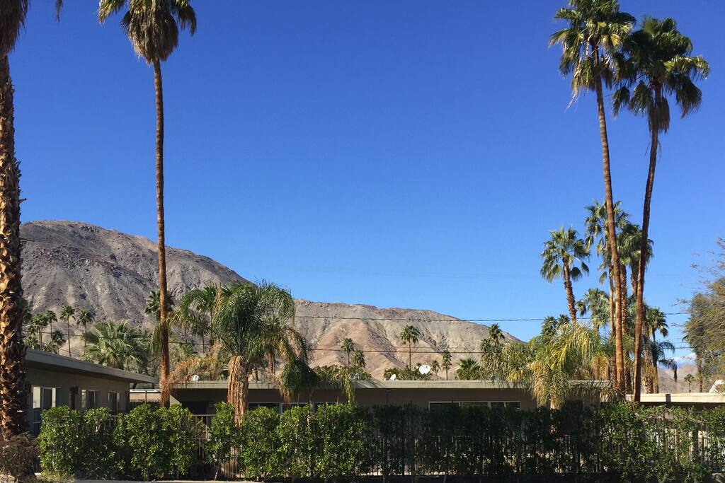 View from the pool