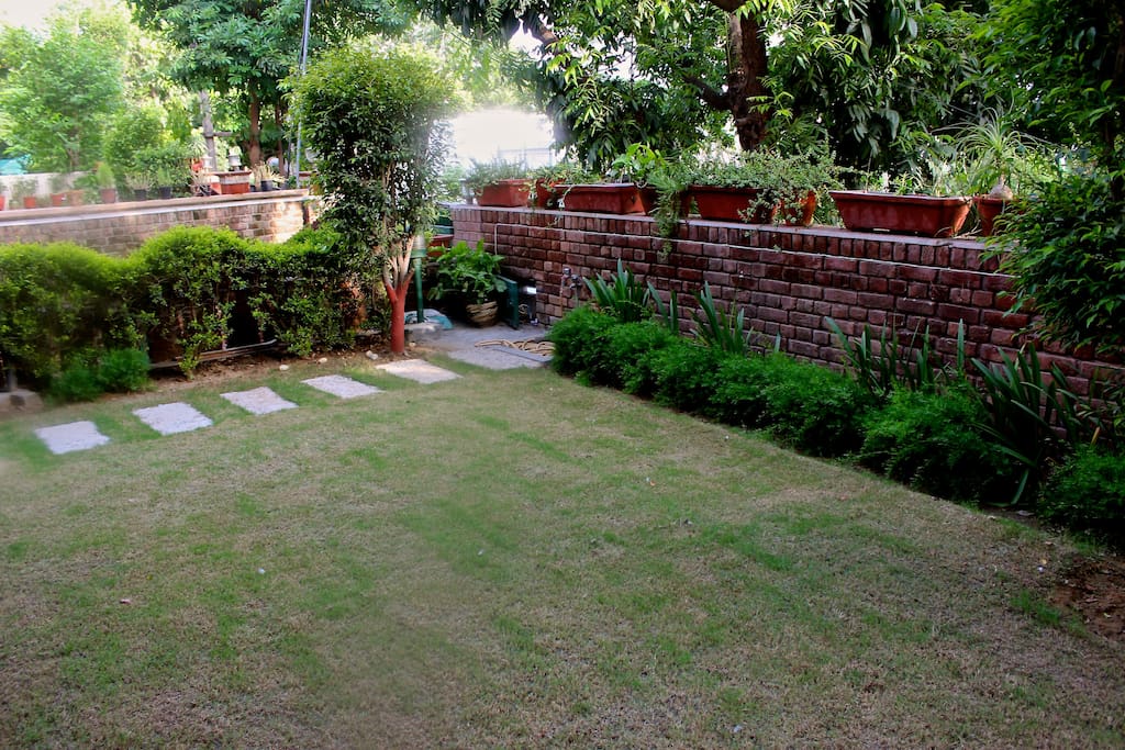 front lawn