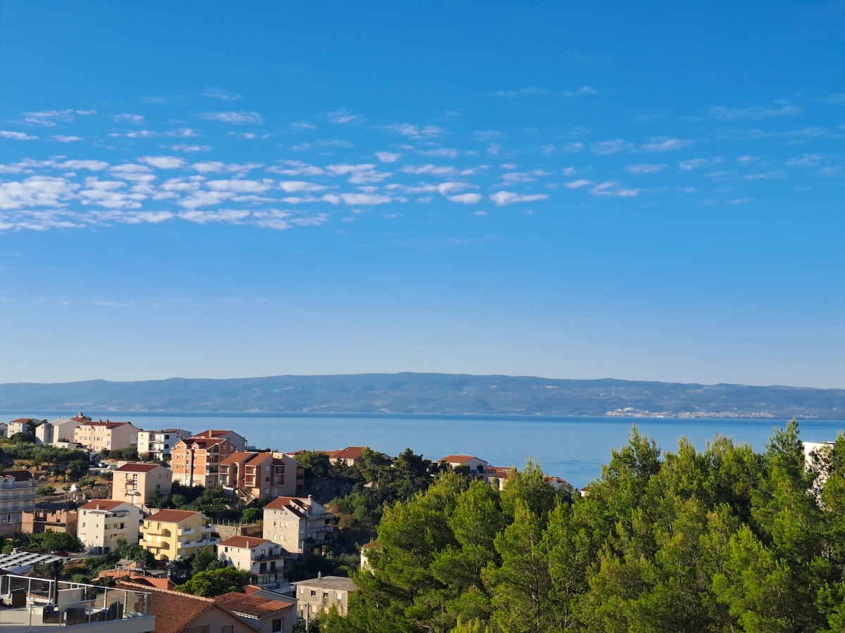 A panoramic view depicts a coastal landscape with the Adriatic Sea in the foreground and distant hills under a clear blue sky. Residential buildings are spotted along the hillside, framed by clusters of green trees, contributing to the serene atmosphere.