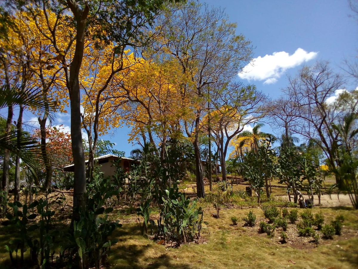 CASITA LINDA VISTA-PLAYA GRANDE, PEACEFUL, PRIVATE