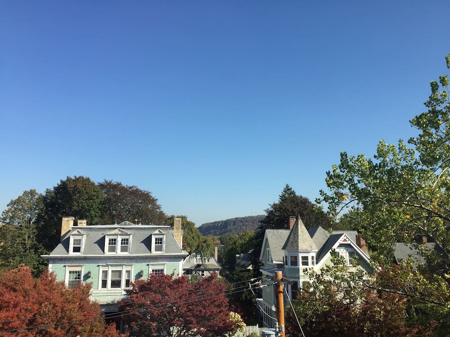 View from the lounge