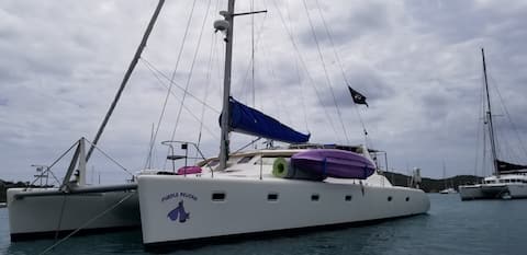 Purple Pelican Charters