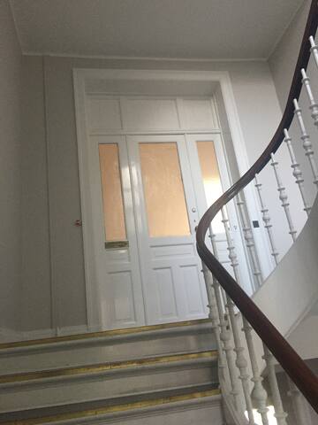 Historical 400 m2 apartment with lakeview Cph City gallery image 3