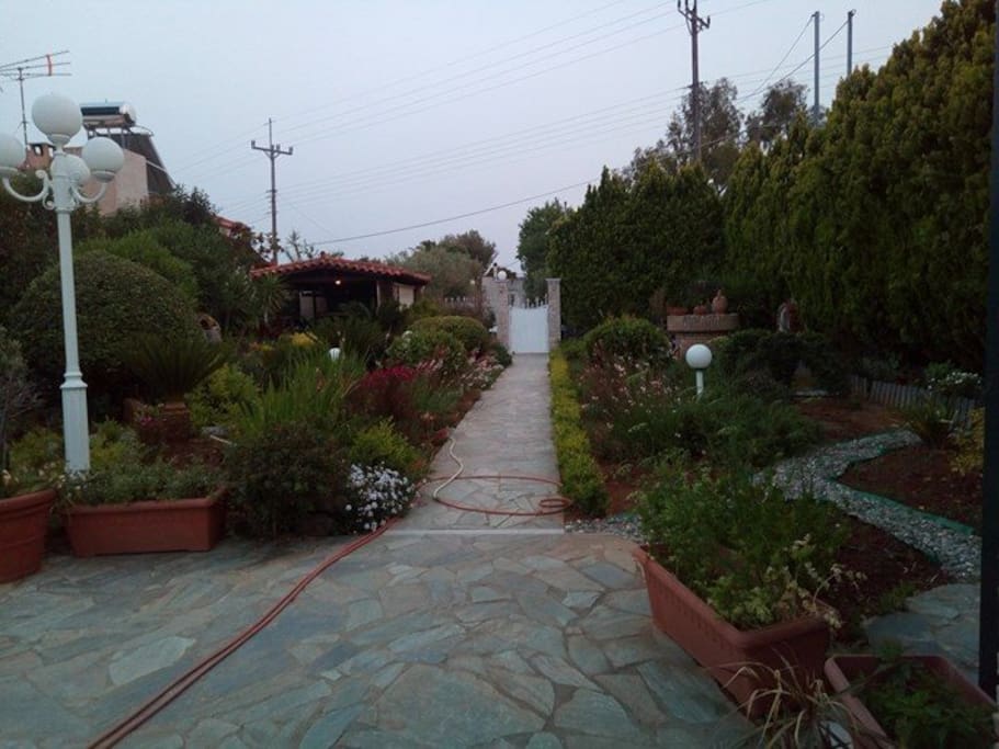 κήπος