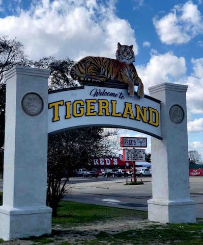 Bold’s Tigerland Retreats