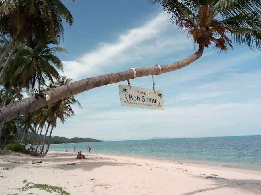 Mimosa Beach