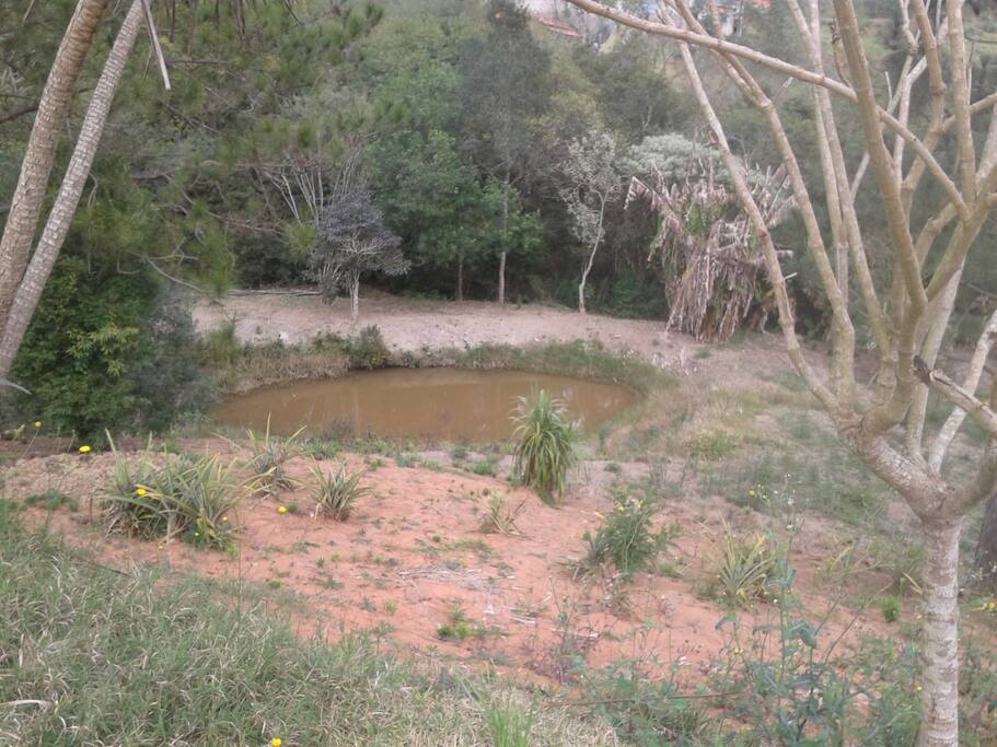 Lago