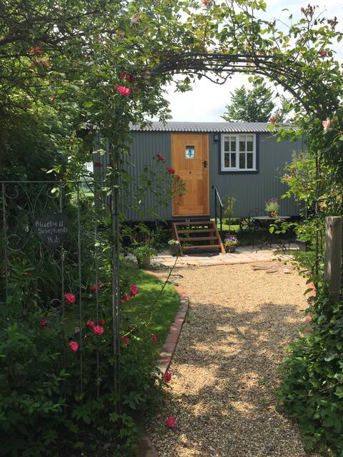 Bluebell Shepherds Hut, Goodwood