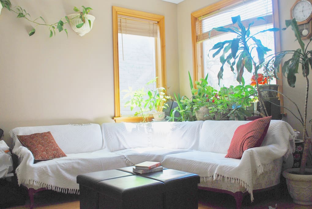 Sunny Sitting Area