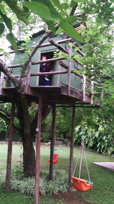 casa na arvore/tree house