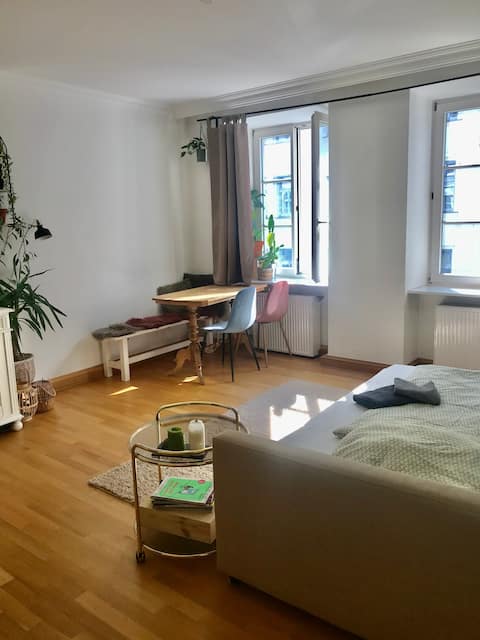 Popular Airbnb listing: Cozy private jungle flat in CityCentre in Glockenbach